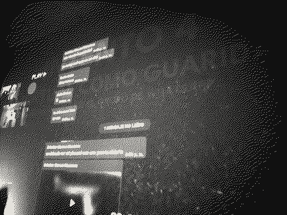 Projection of the performance: survey texts on the wall
