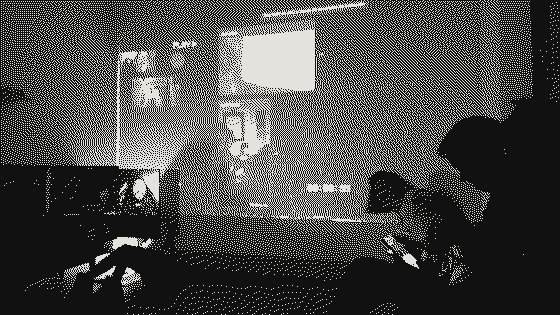 Audience in front of the projection in the room